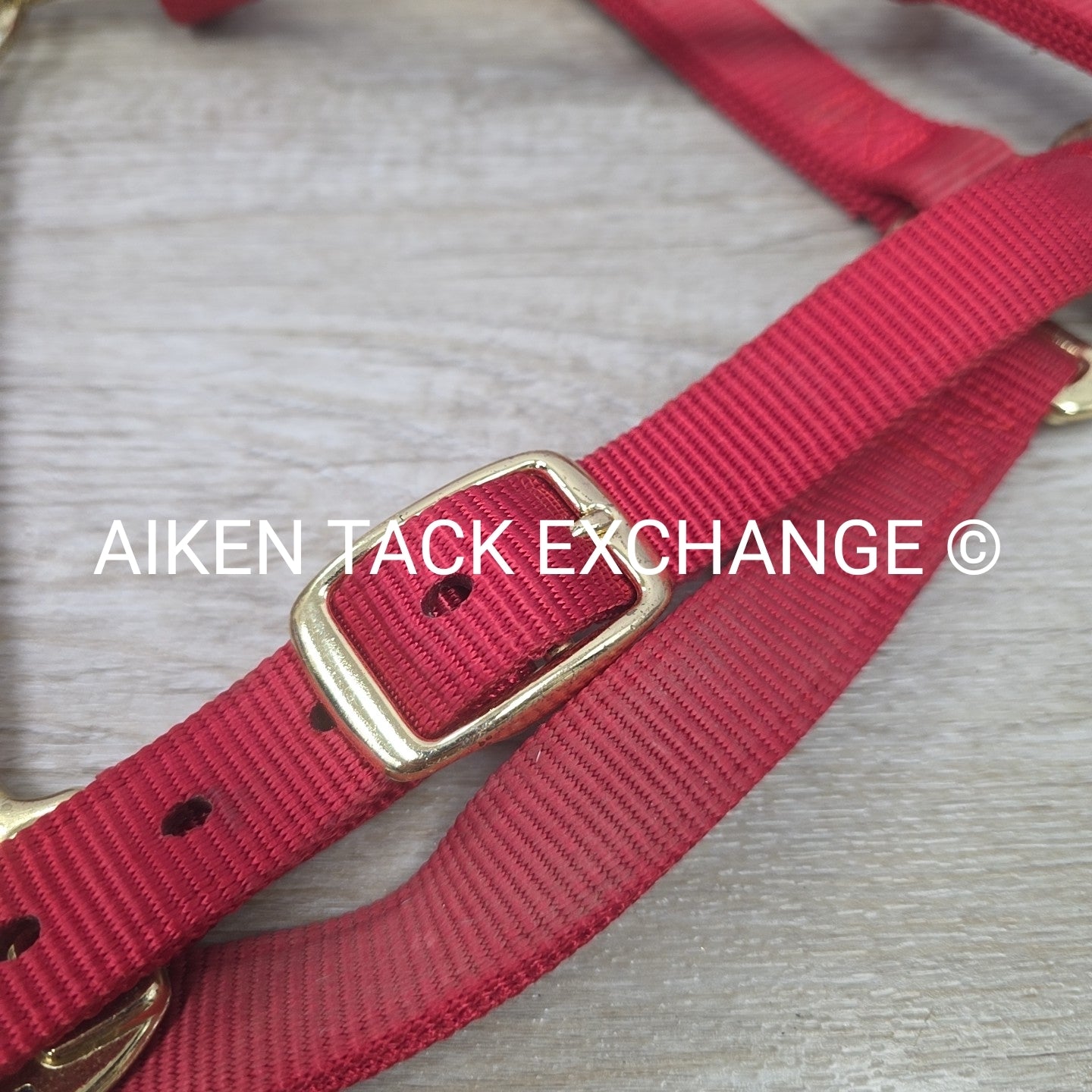 Weaver Nylon Halter, Average Horse