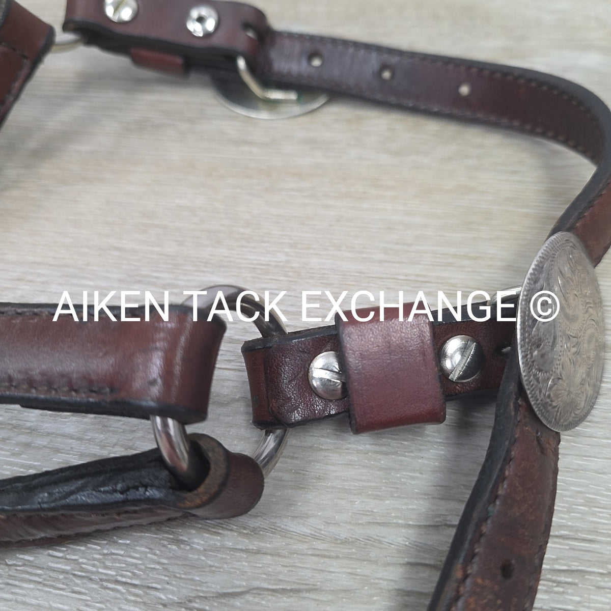 Western Show Halter, Size Foal