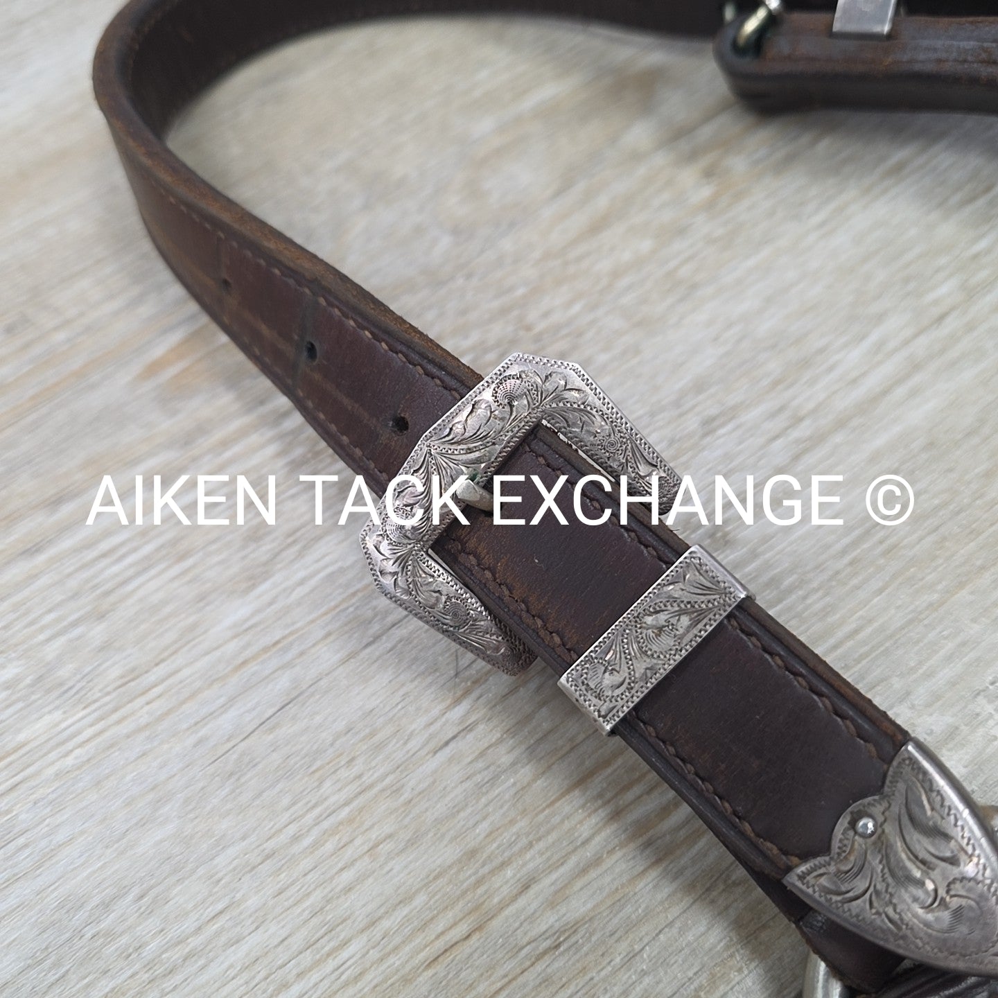 Victor Quality Westen Show Halter with Lead