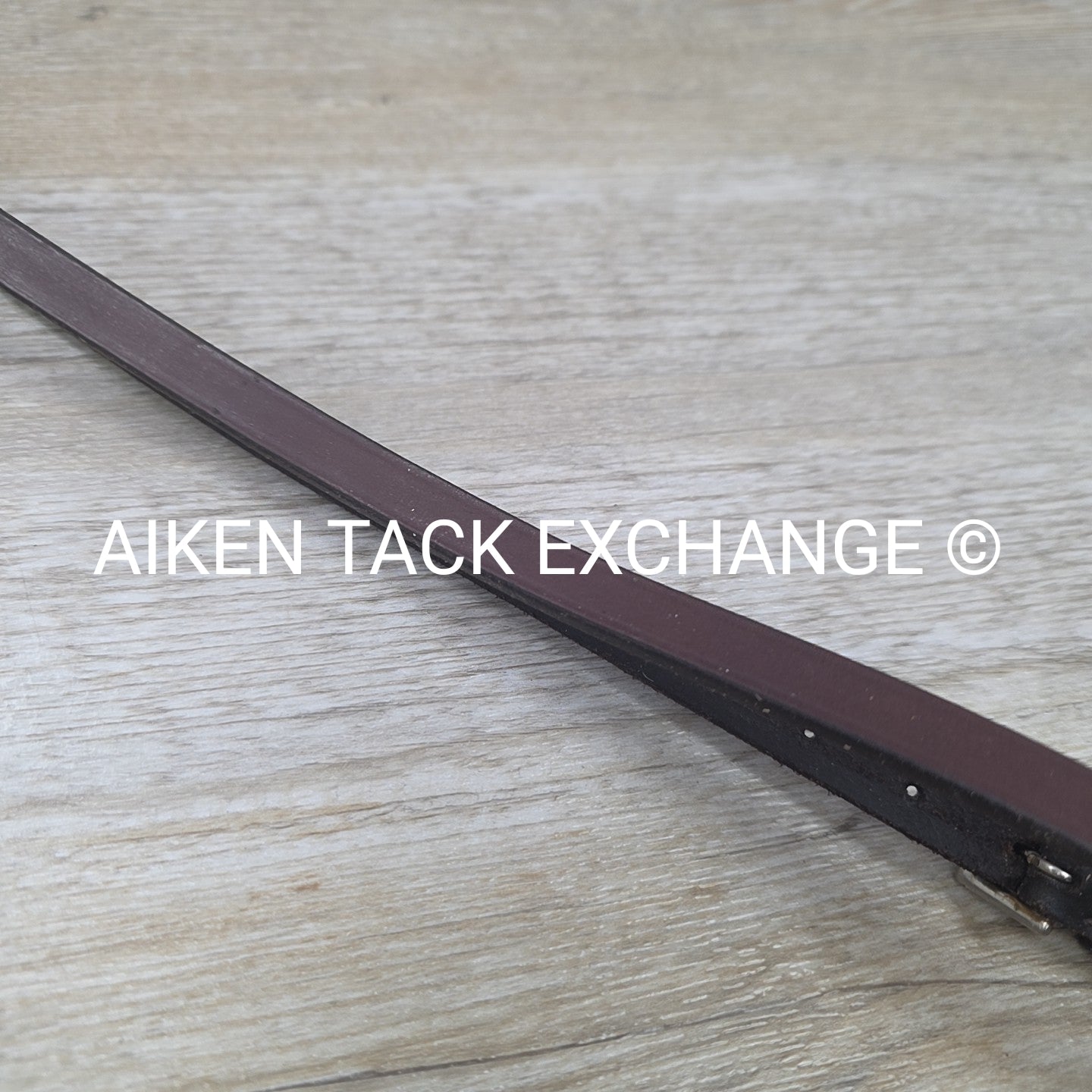 Courbette Standing Martingale, Brown, Size Cob