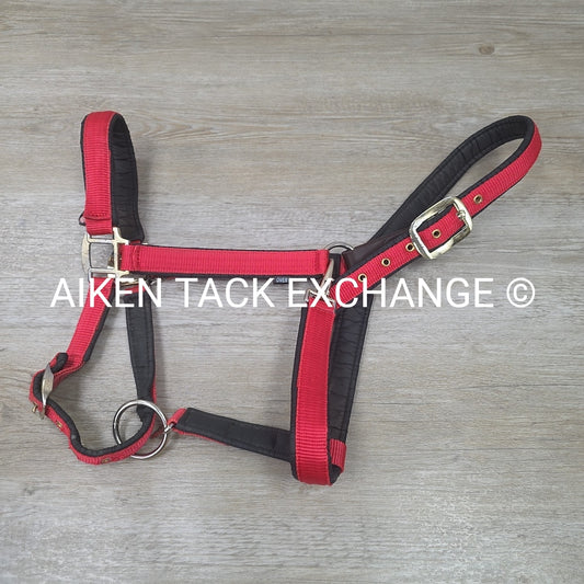 Schneiders Padded Breakaway Halter, Oversize