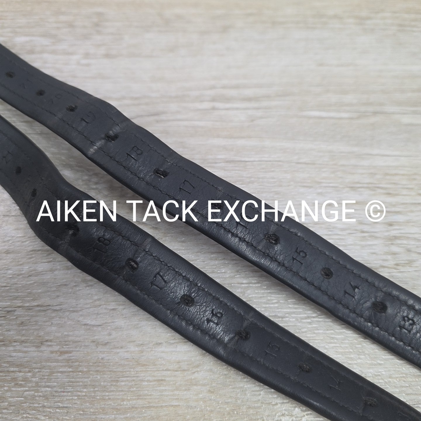 Prestige Nylon Lined Stirrup Leathers, Black, 160cm  / 63"