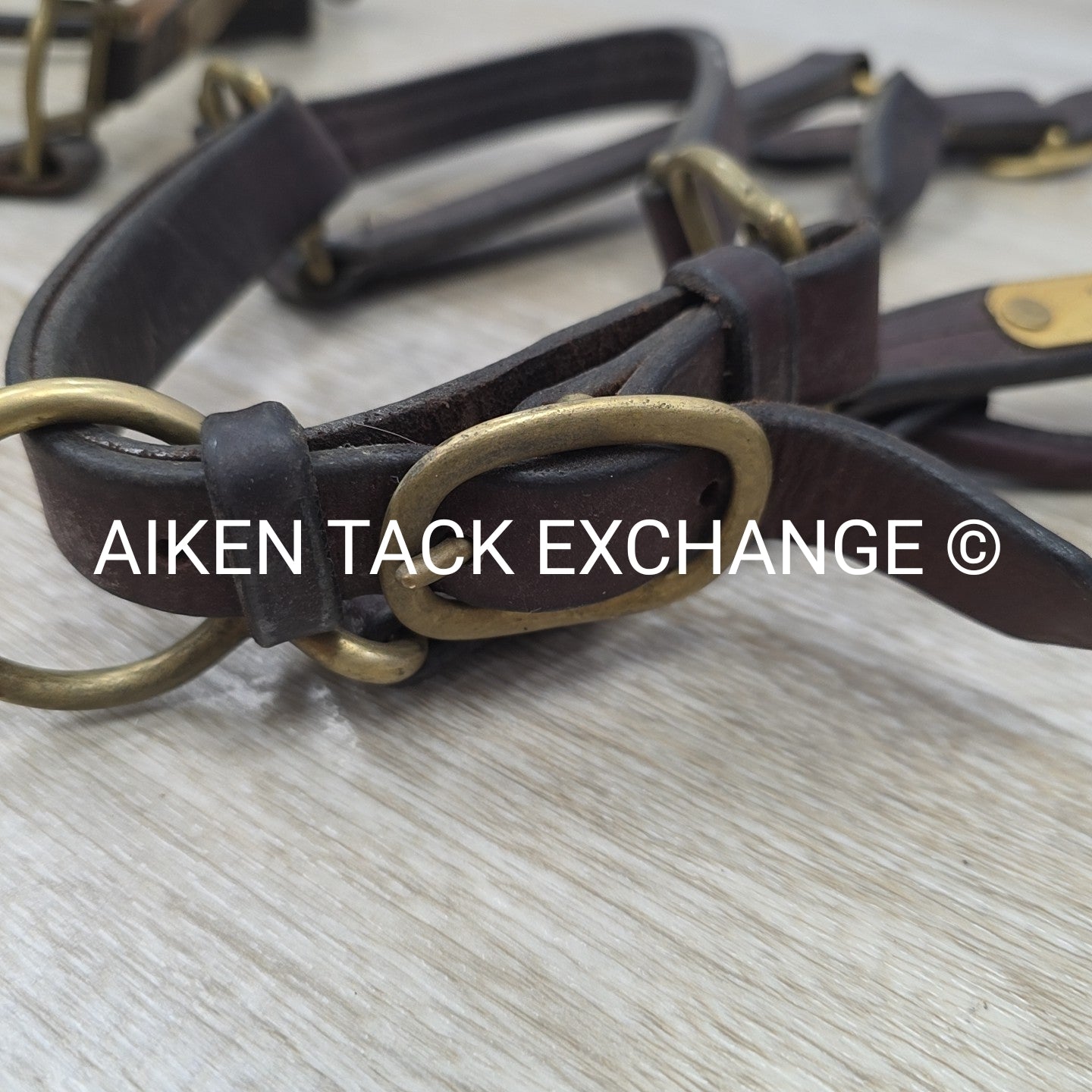 BARGAIN BUNDLE: 2 Leather Halters, Has Name Plates, Size Full