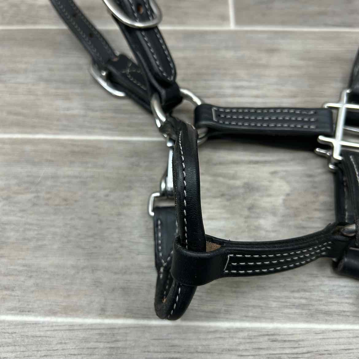 Green Hill Collection Leather Halter with Matching Lead, Size Foal / Mini