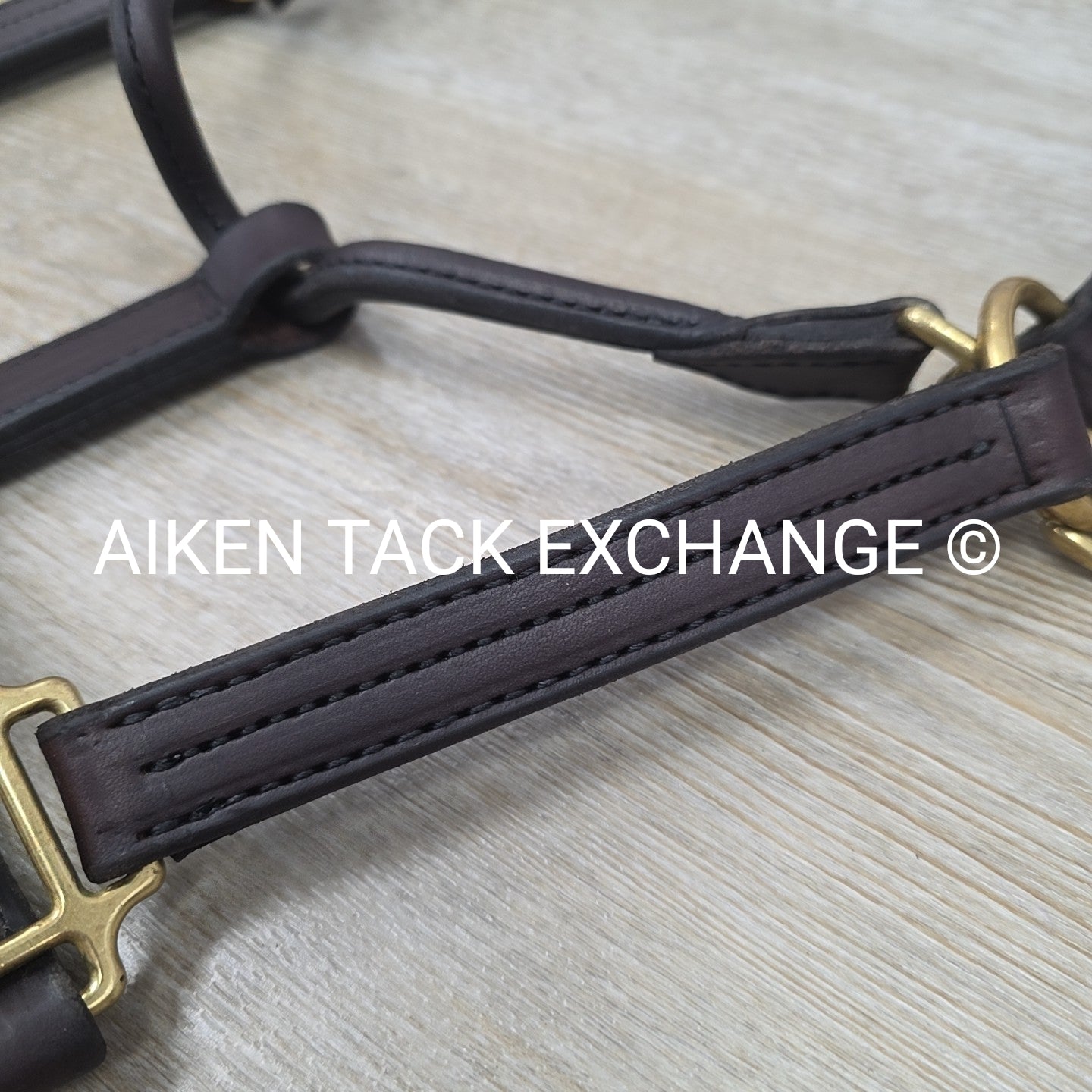 Perri's Heavy Duty Track Halter w/ Snap, Size Cob