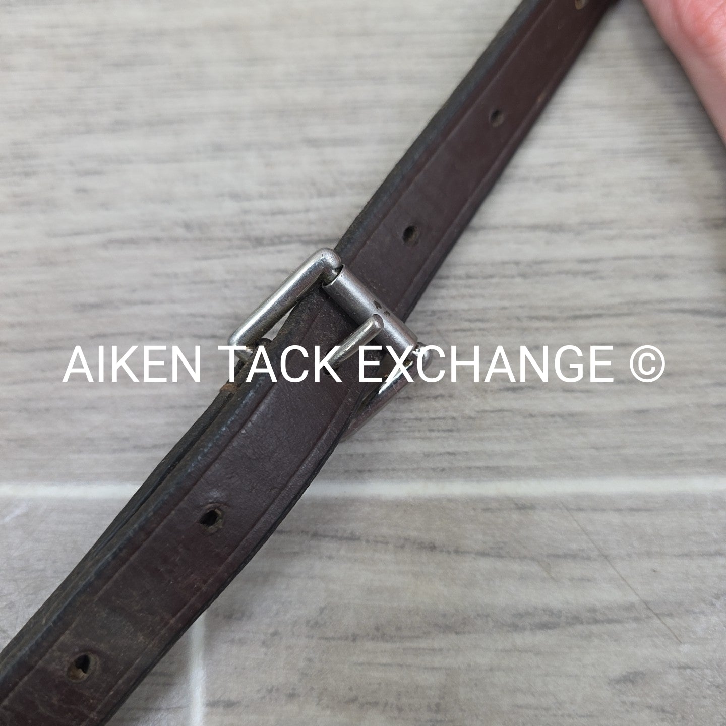 Dy'on Plain Square Raised Standing Martingale, Brown, Size Full