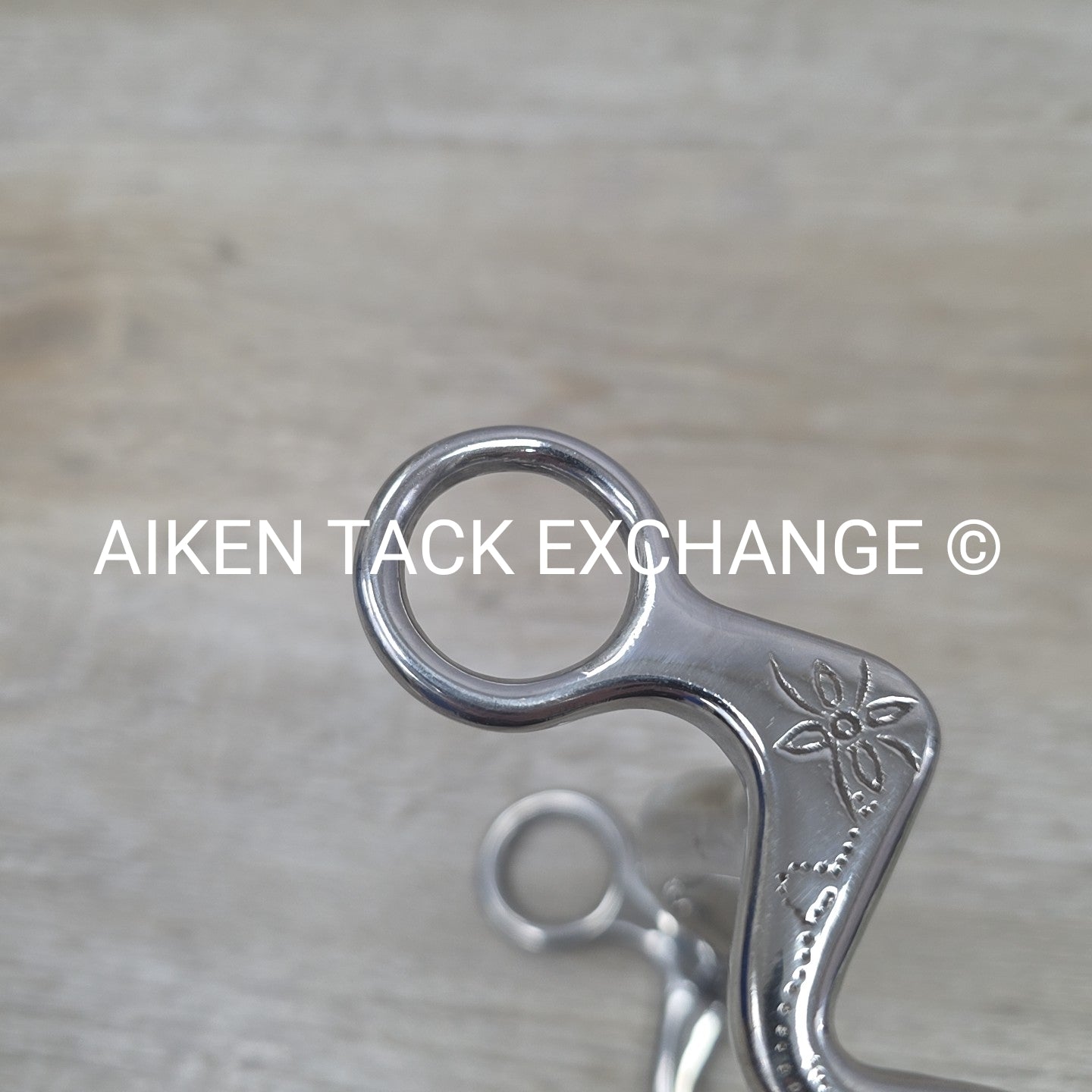 Mullen Mouth Shanked Bit 4.75"