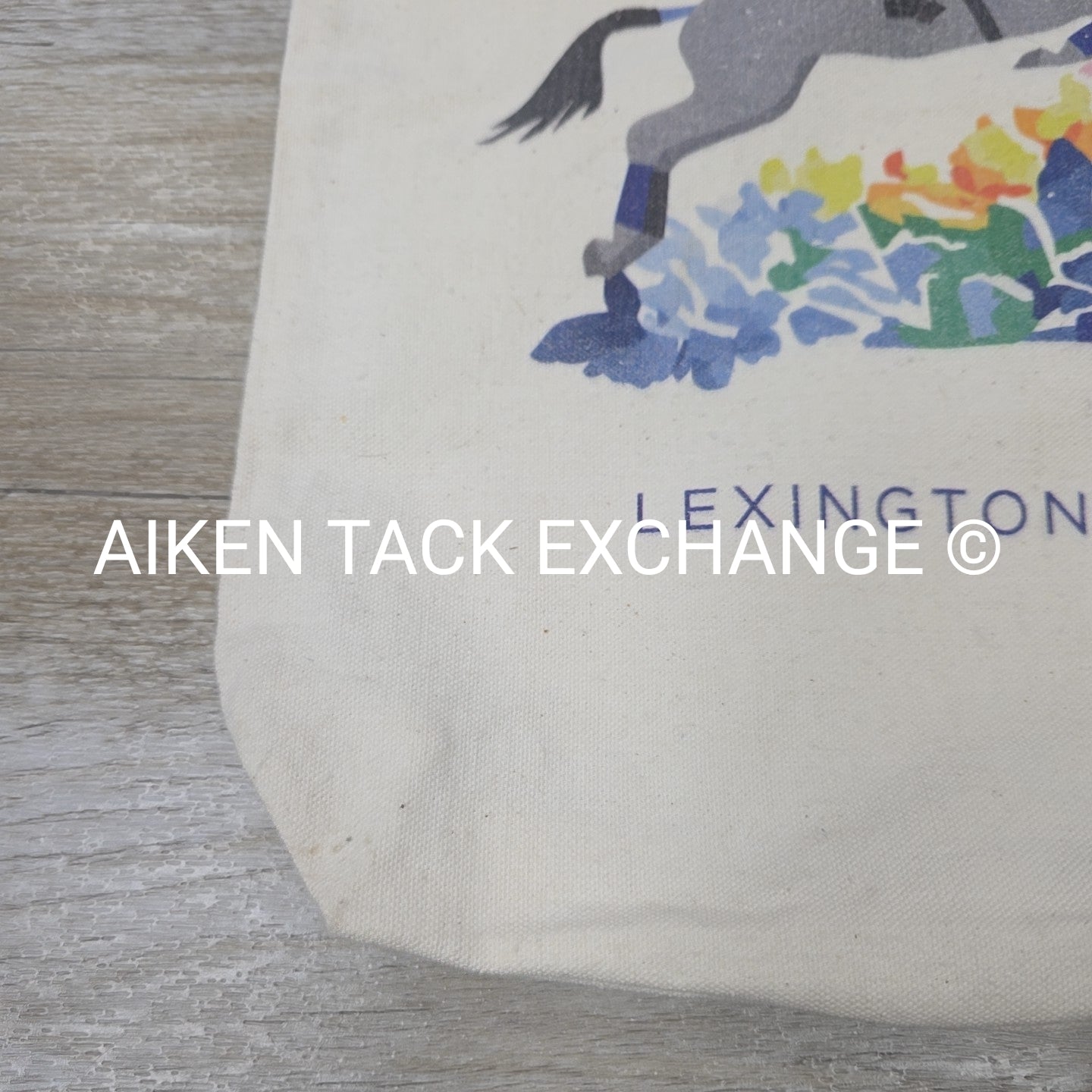 Lexington KY Small Tote Bag