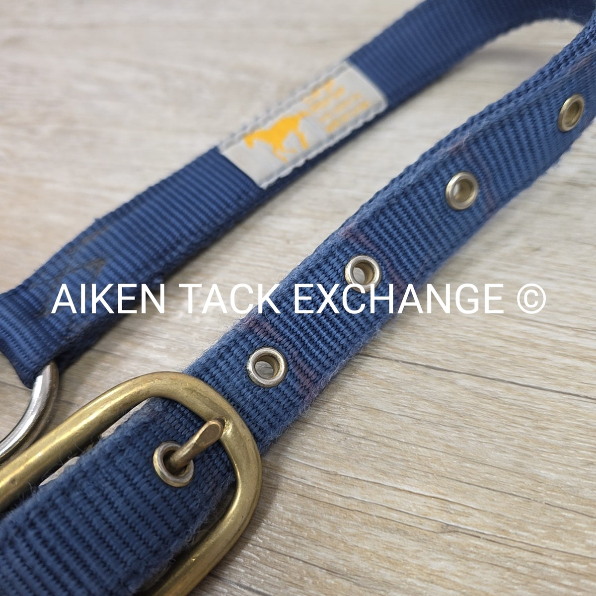 Hamilton Nylon Halter & Lead, Large Horse
