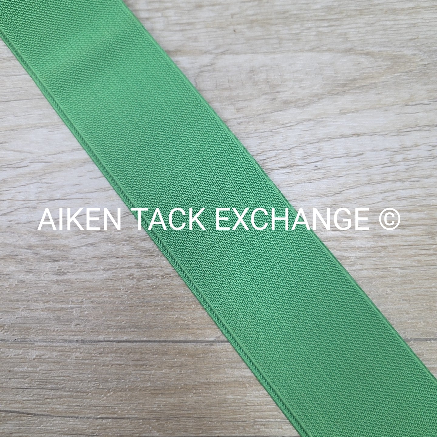 Adjustable Elastic Belt with Snaffle Bit