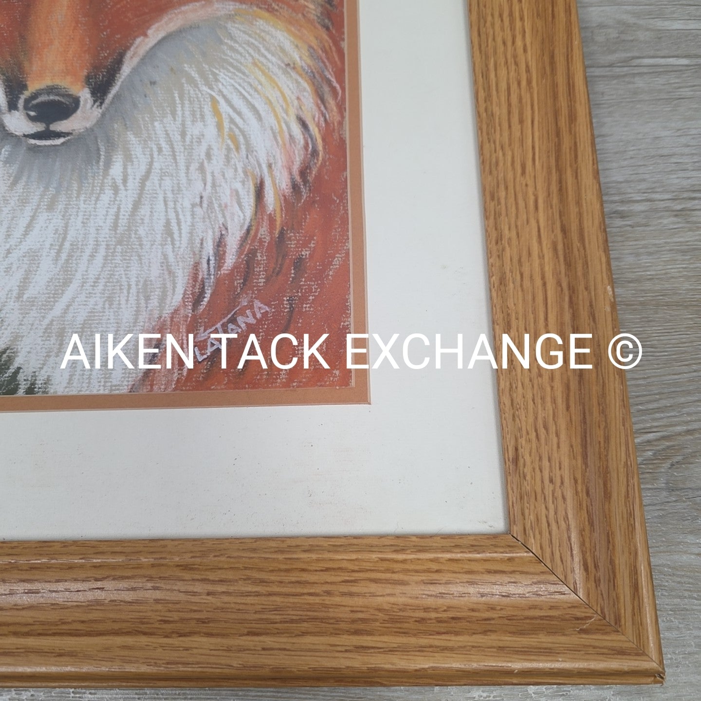 Fox Artwork, 19" x 23.5"