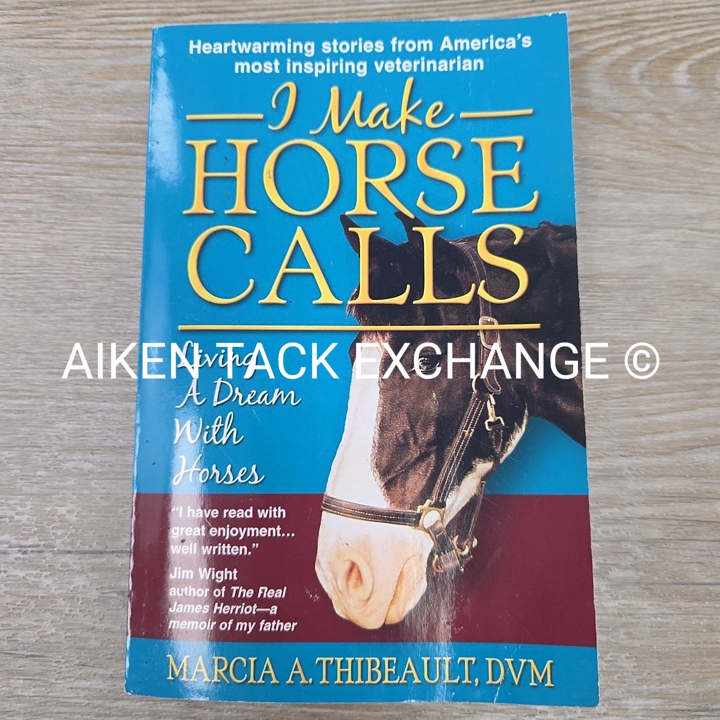 I Make Horse Calls by Maricia A. Thibeault, DVM