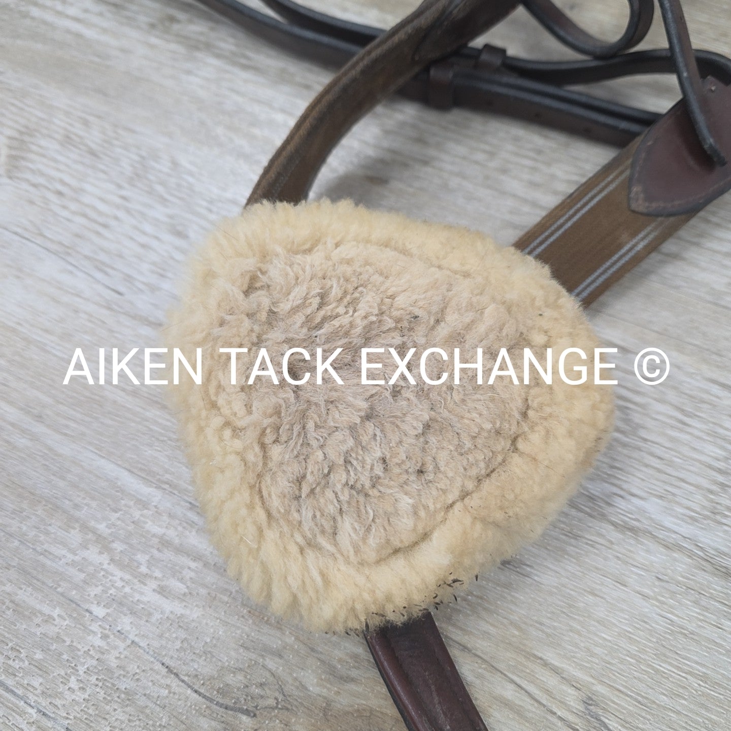 5 Point Breastplate, Brown, Size Cob