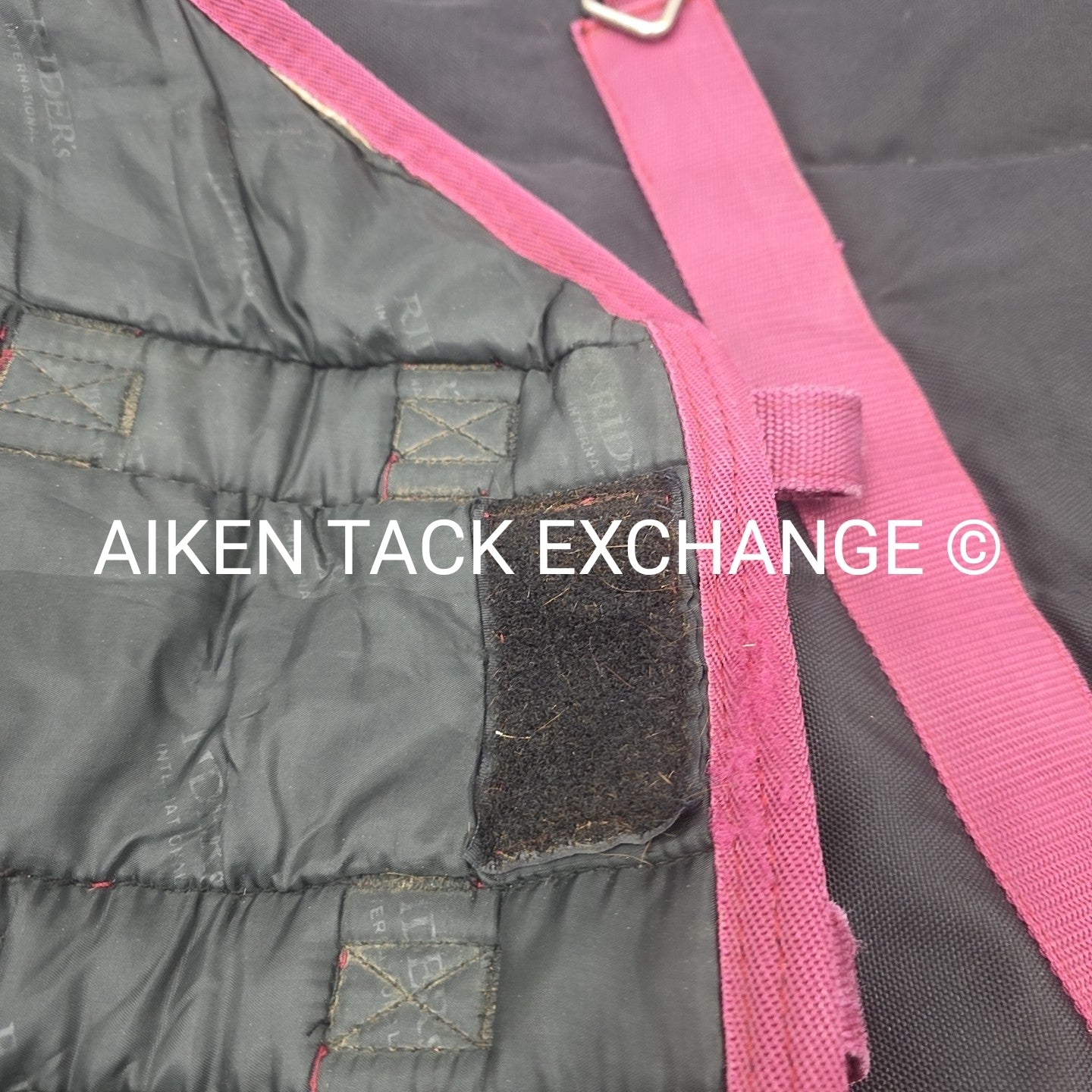 Dover Rider's International Medium Weight Turnout Blanket, Size 81"
