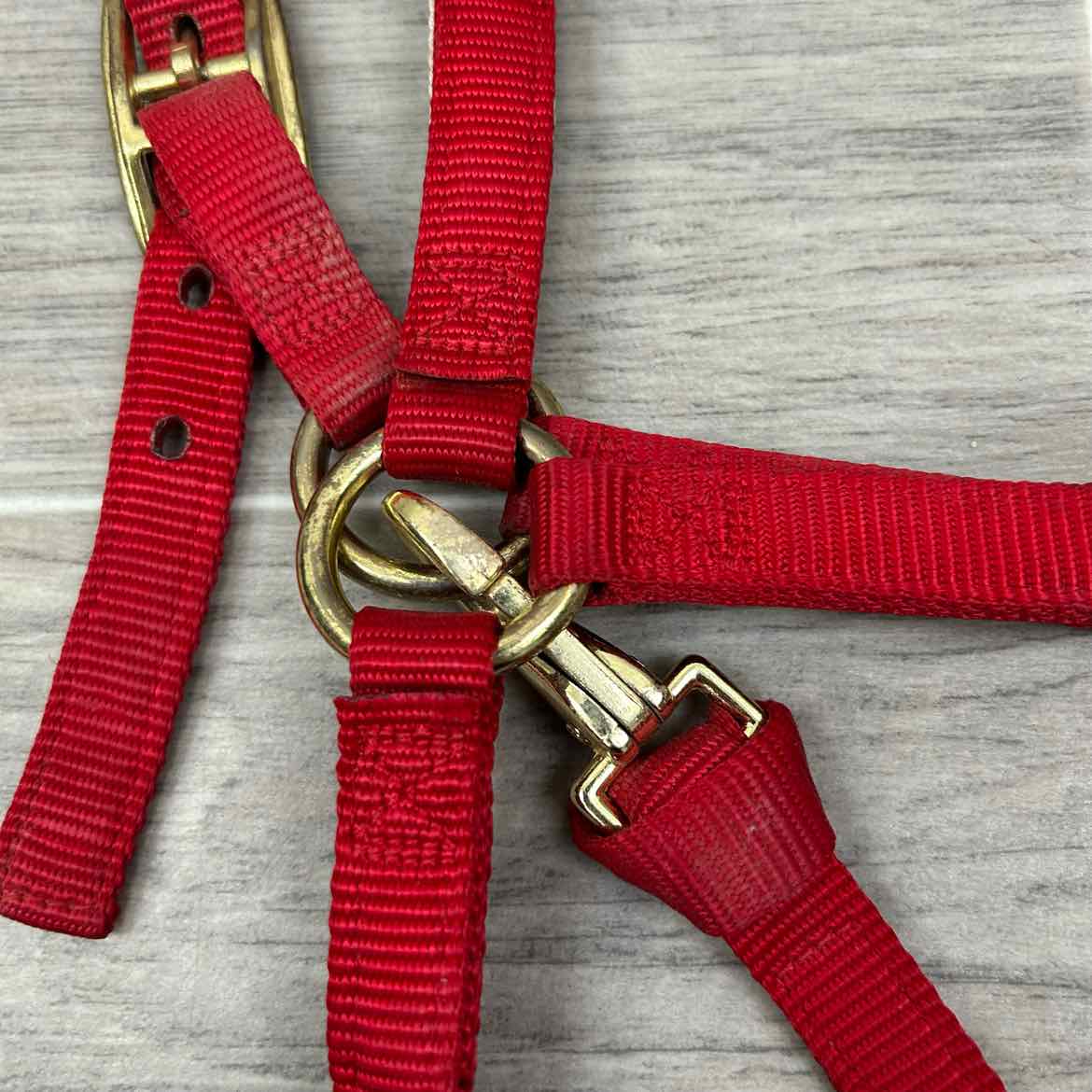 Weaver Leather Nylon Halter, Size Medium Arabian