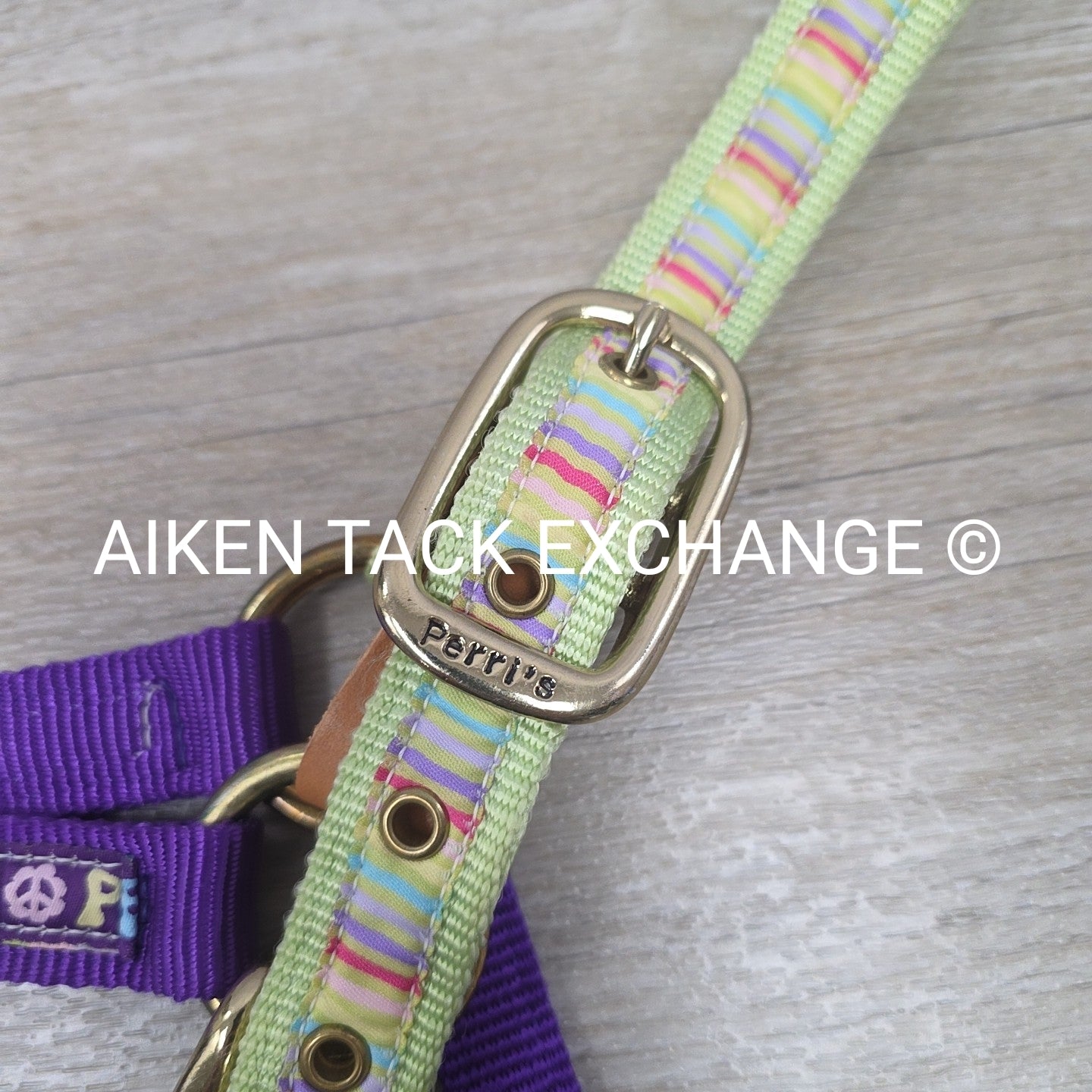 Perri's Nylon Breakaway Halter w/ Cotton Lead Rope, Size Cob