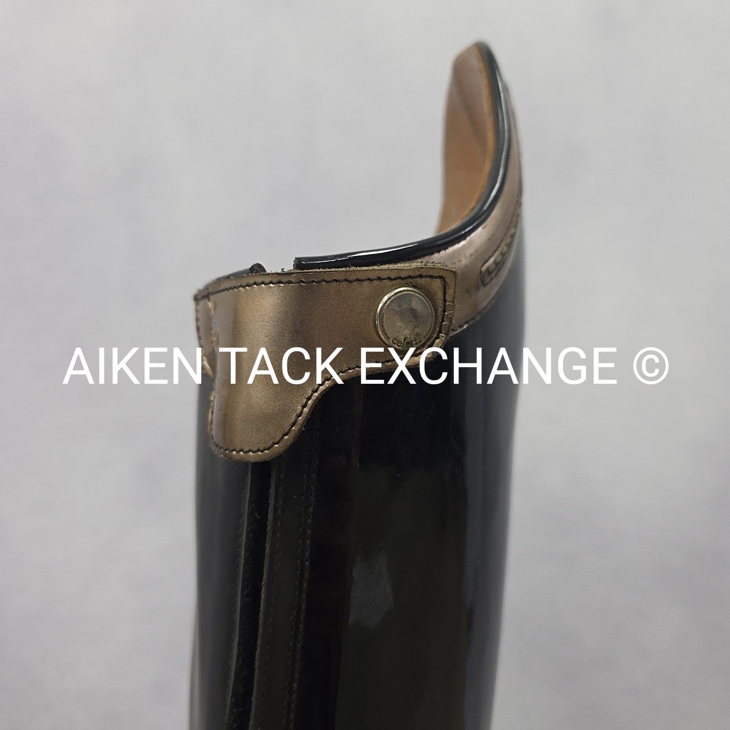 Celeris Passage Dressage Boot, Size 7-7.5  H 44.5 W 39