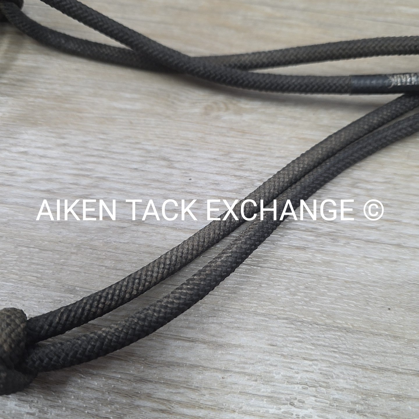 Weaver Leather Silvertip Tope Halter with Lead