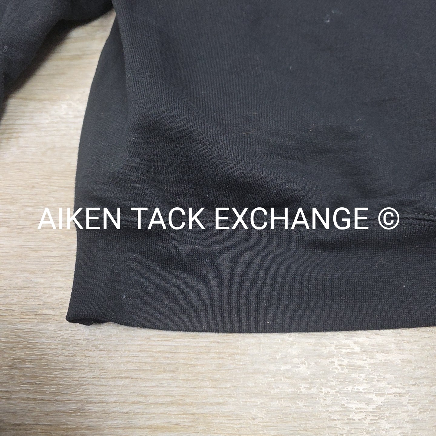 Champion horseflight.com Hoddie, Size Medium