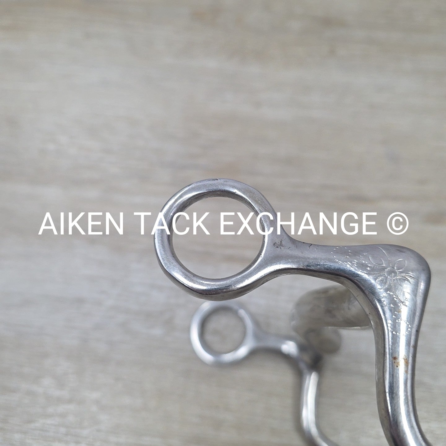 Mullen Mouth Shank Bit 5"