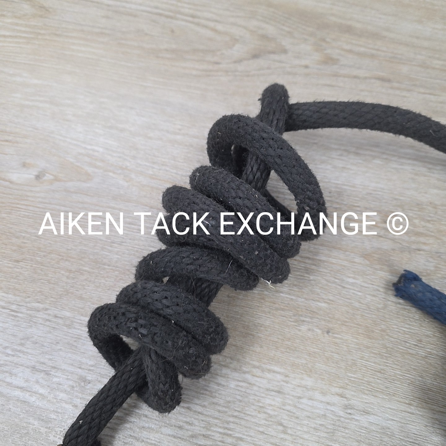 BARGAIN BUNDLE: 4 Nylon Lead Ropes