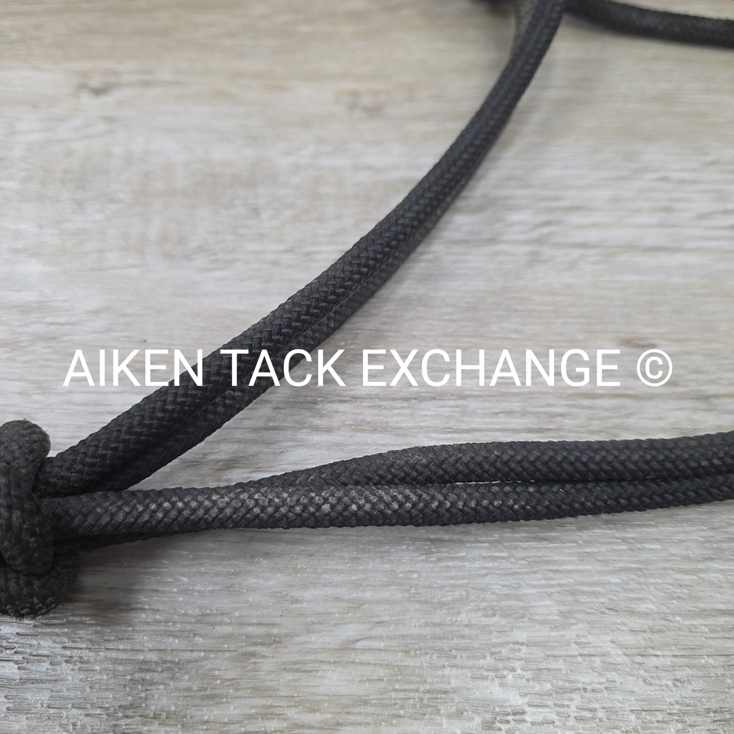 Weaver Leather Silvertip Tope Halter with Lead