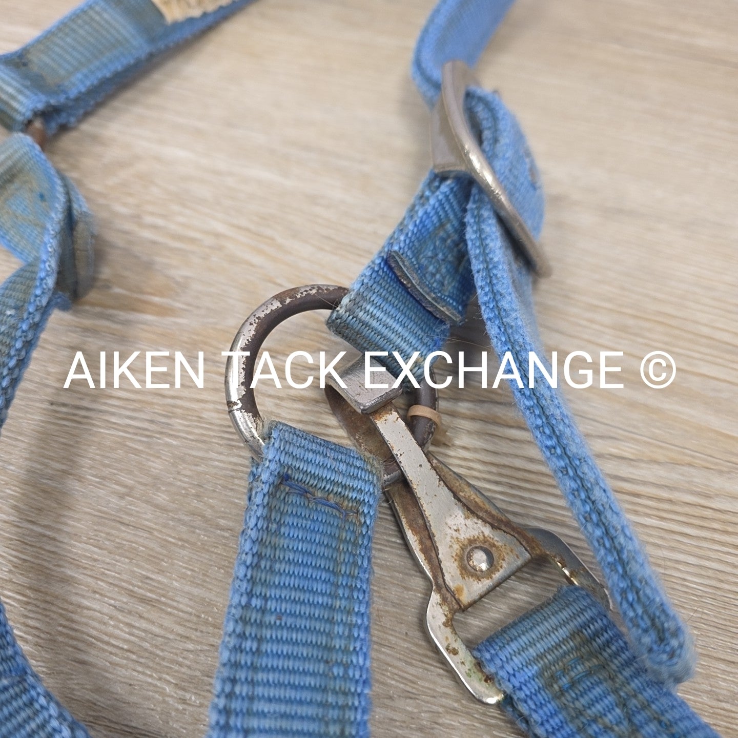 BARGAIN BUNDLE: 3 Nylon Halters, Various Sizes