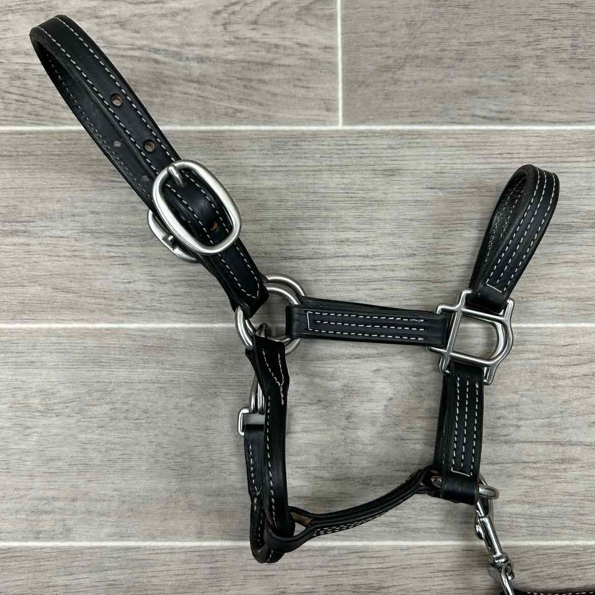 Green Hill Collection Leather Halter with Matching Lead, Size Foal / Mini