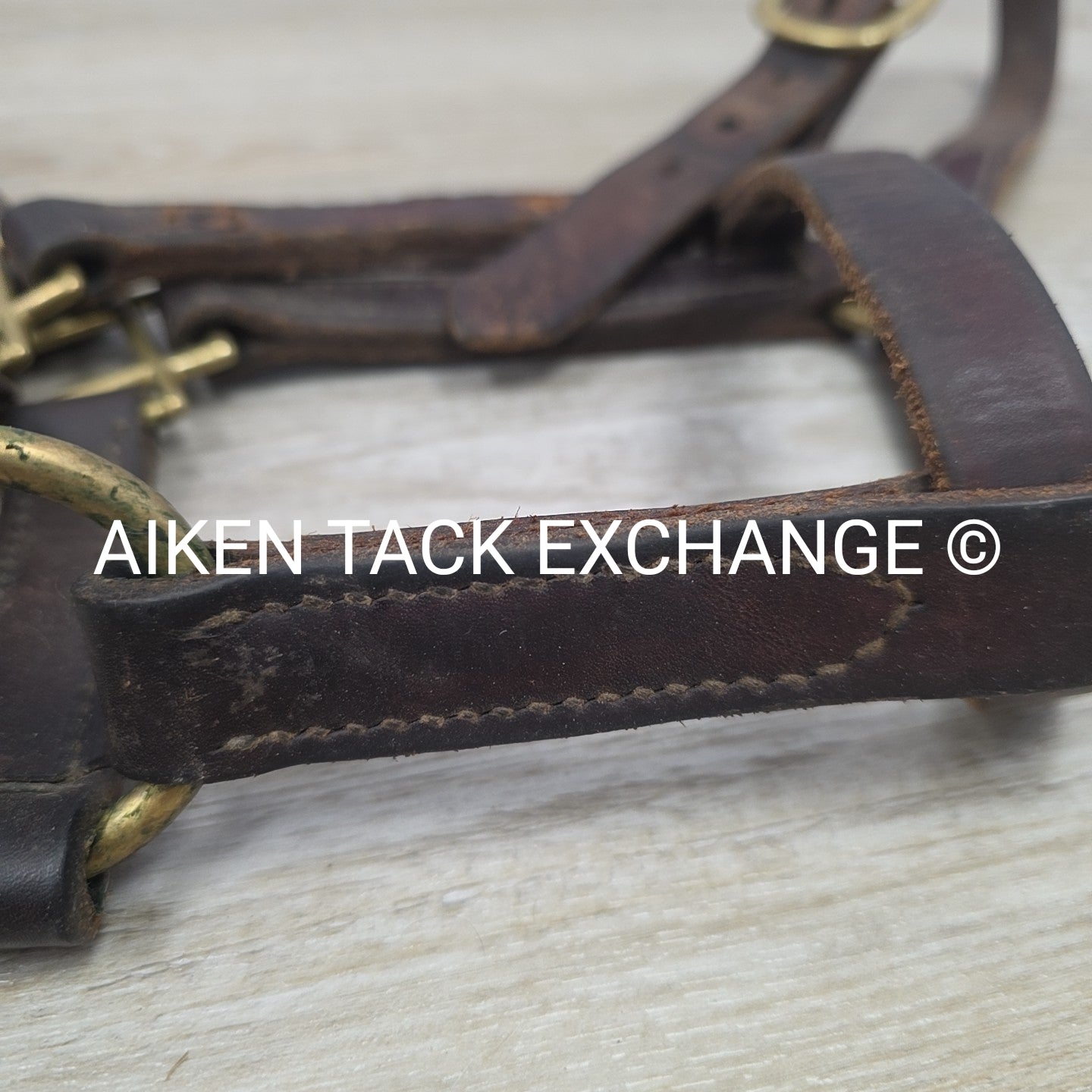 BARGAIN BUNDLE: Weaver Nylon Halter & Leather Halter, Size Full