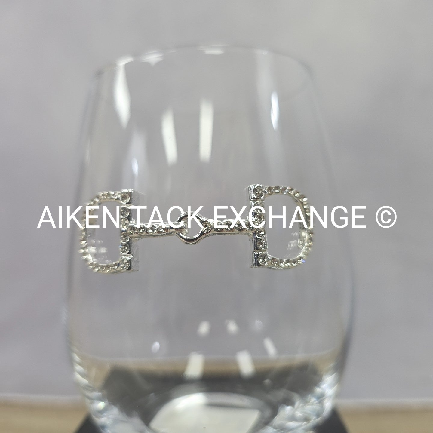 The Queen's Jewel's Snaffle Bit Stemless Glass