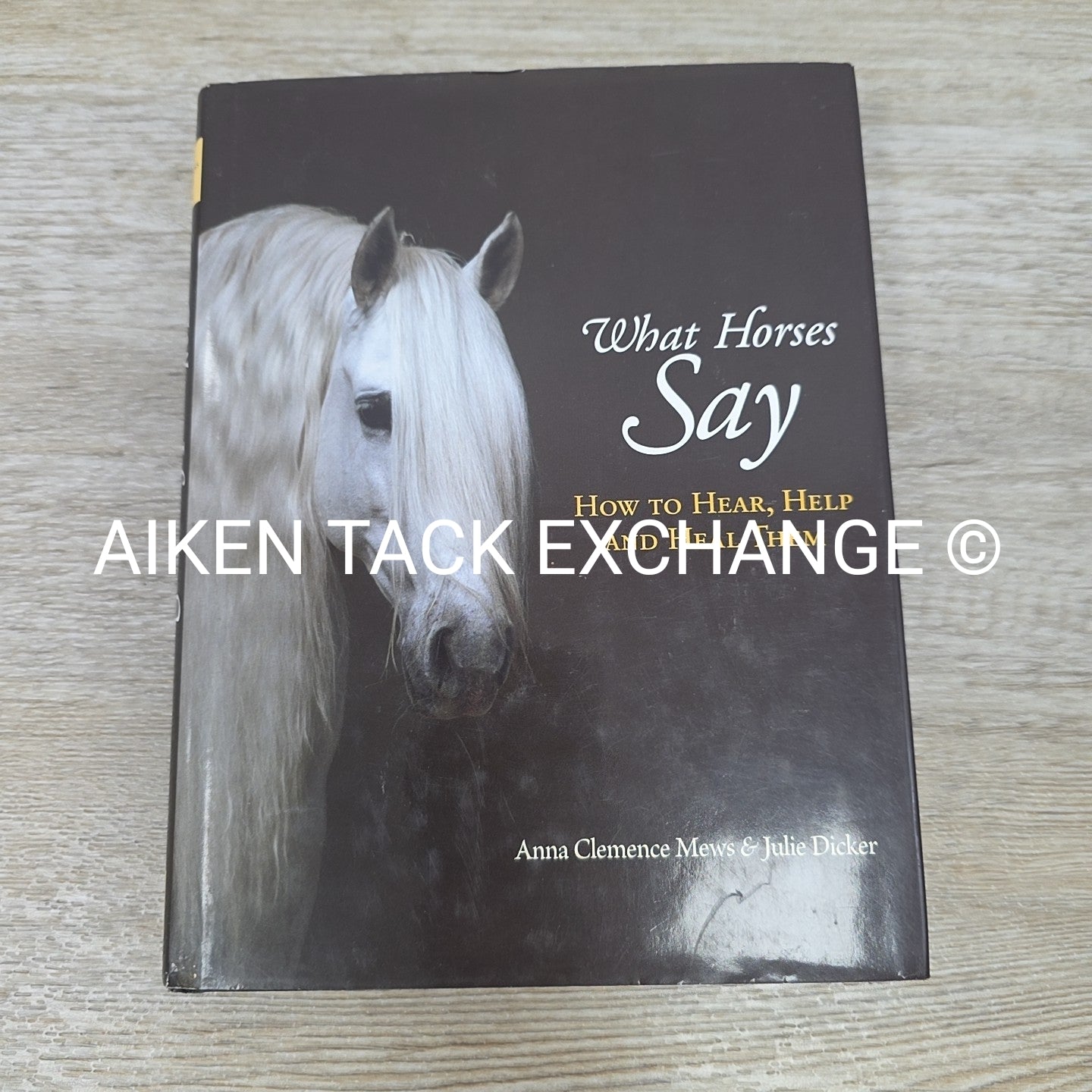 What Horses Say by Anna Clemence Mews