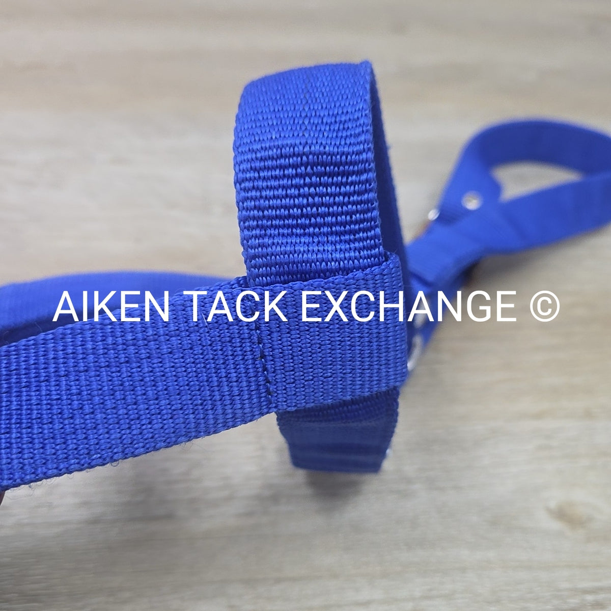 Nylon Halter, Draft