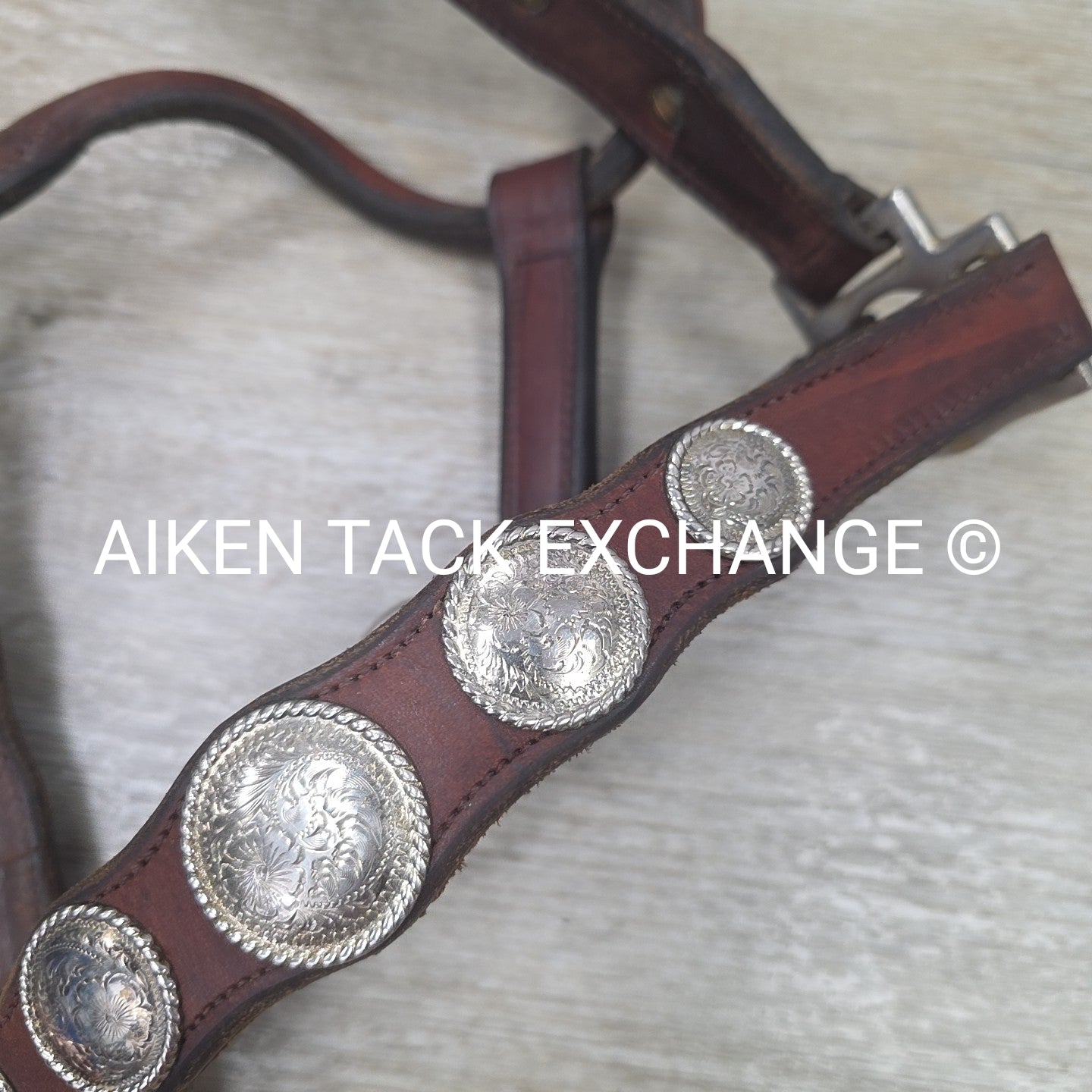 Western Show Halter, Size Full