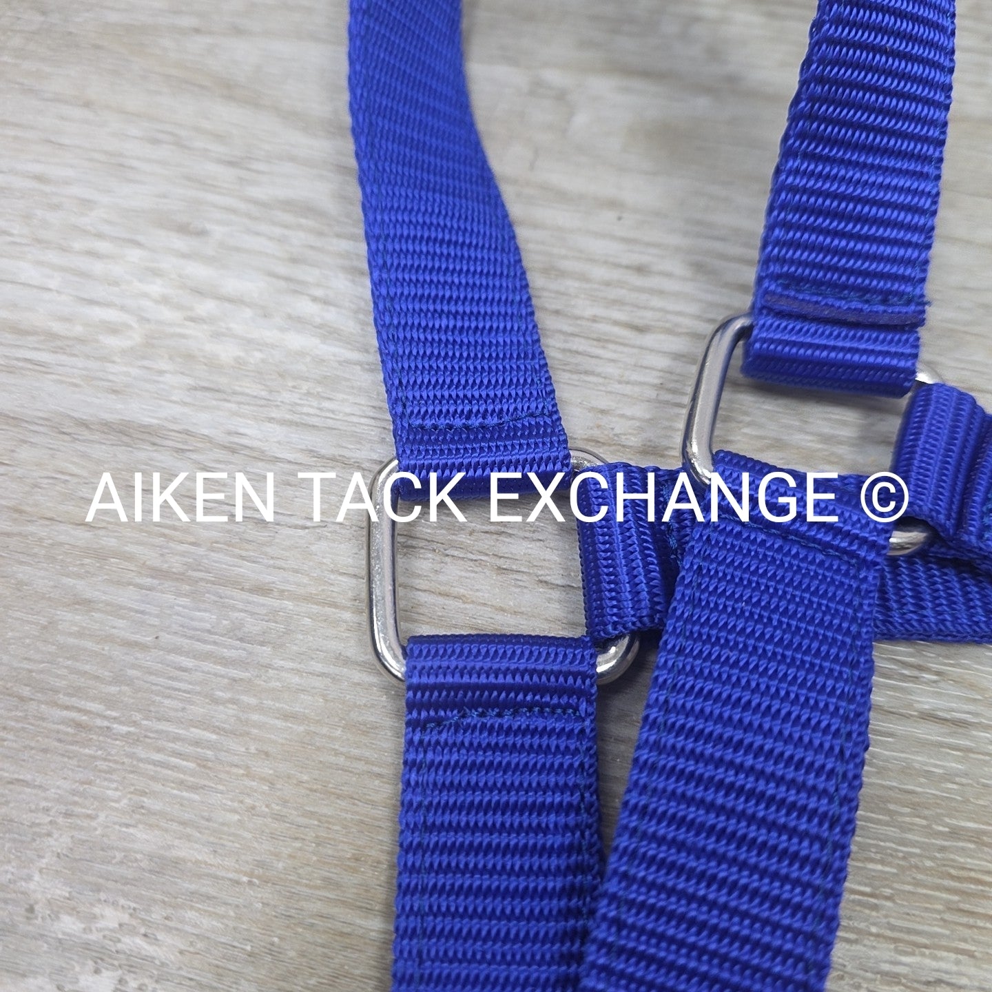 TuffRider Breakaway Nylon Halter & Lead Rope Set, Blue, Size Full