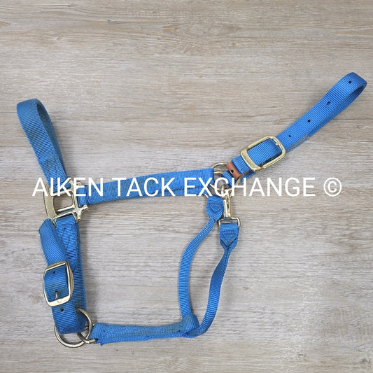 Nylon Breakaway Halter, Size Large
