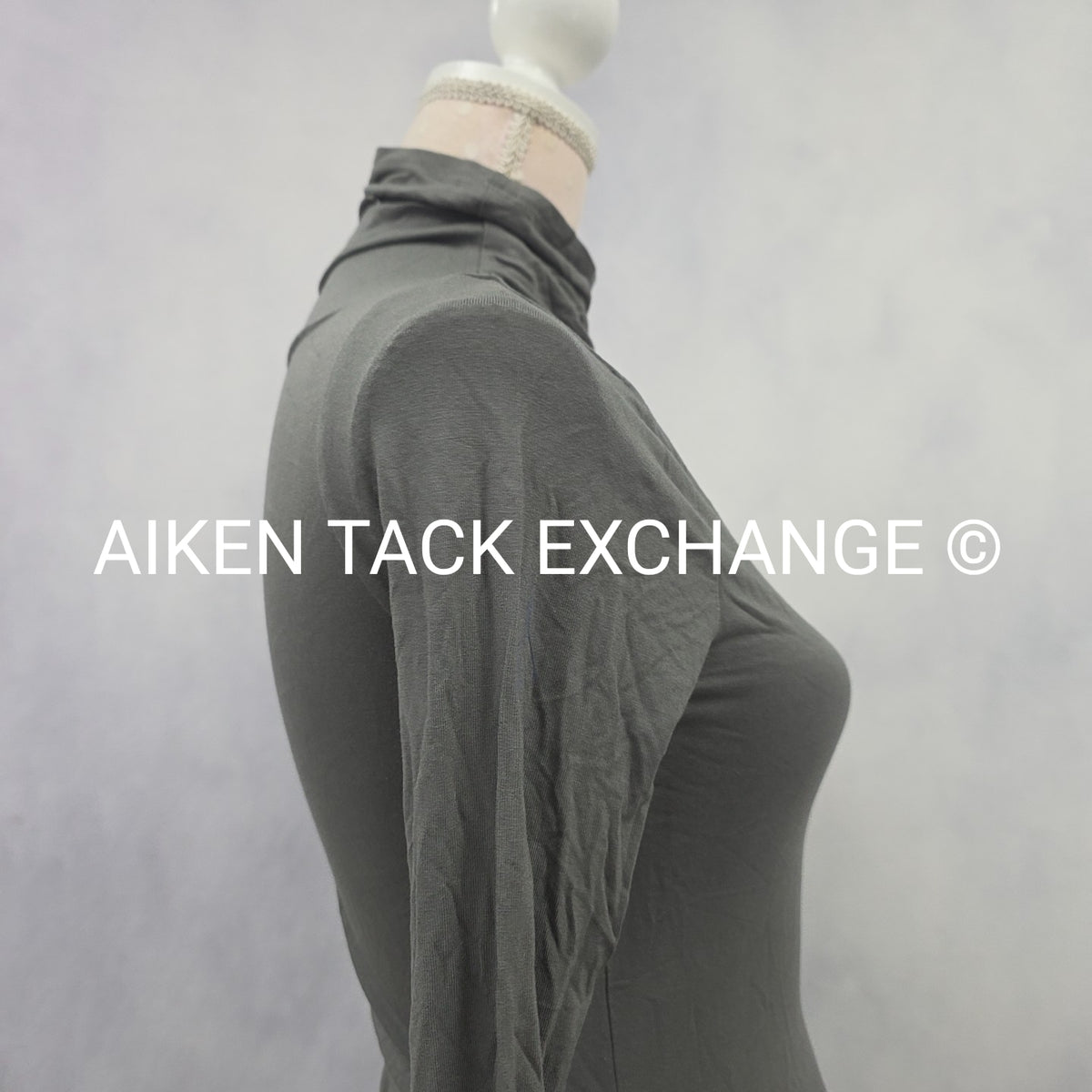 Venus Long Sleeve Dress, Size X-Small