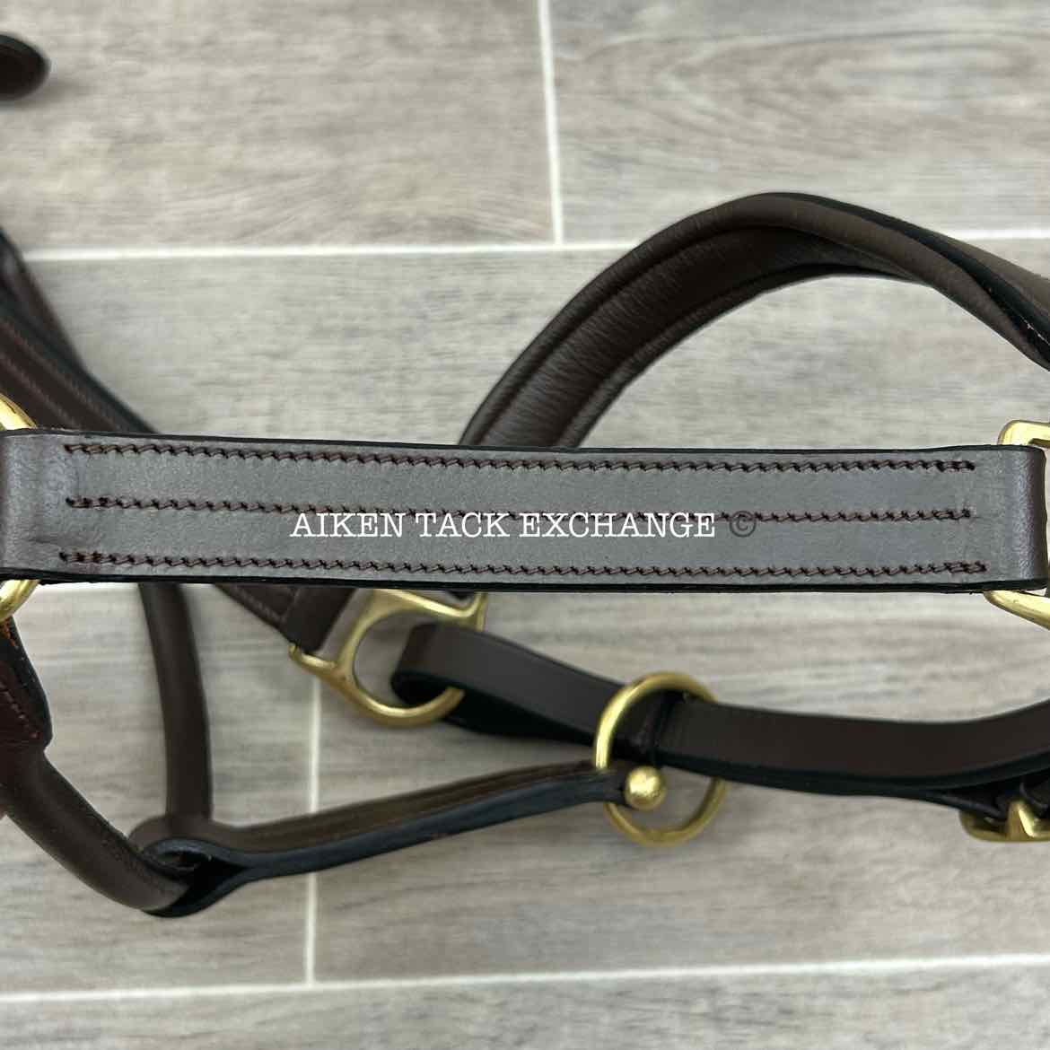 Premier Dorchester Padded Fancy Stitched Leather Halter, Size Full