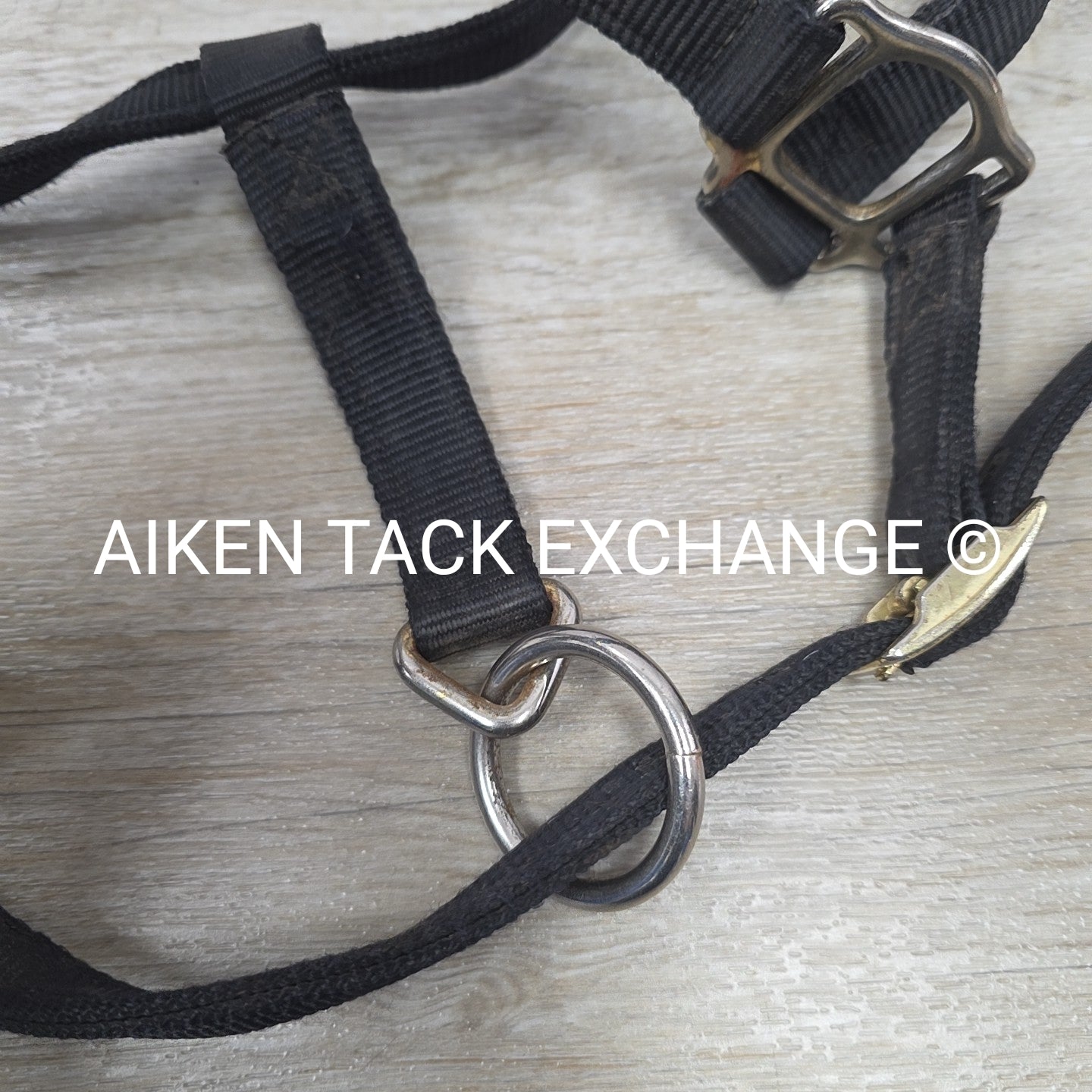 Perri's Nylon Breakaway Halter, Oversize
