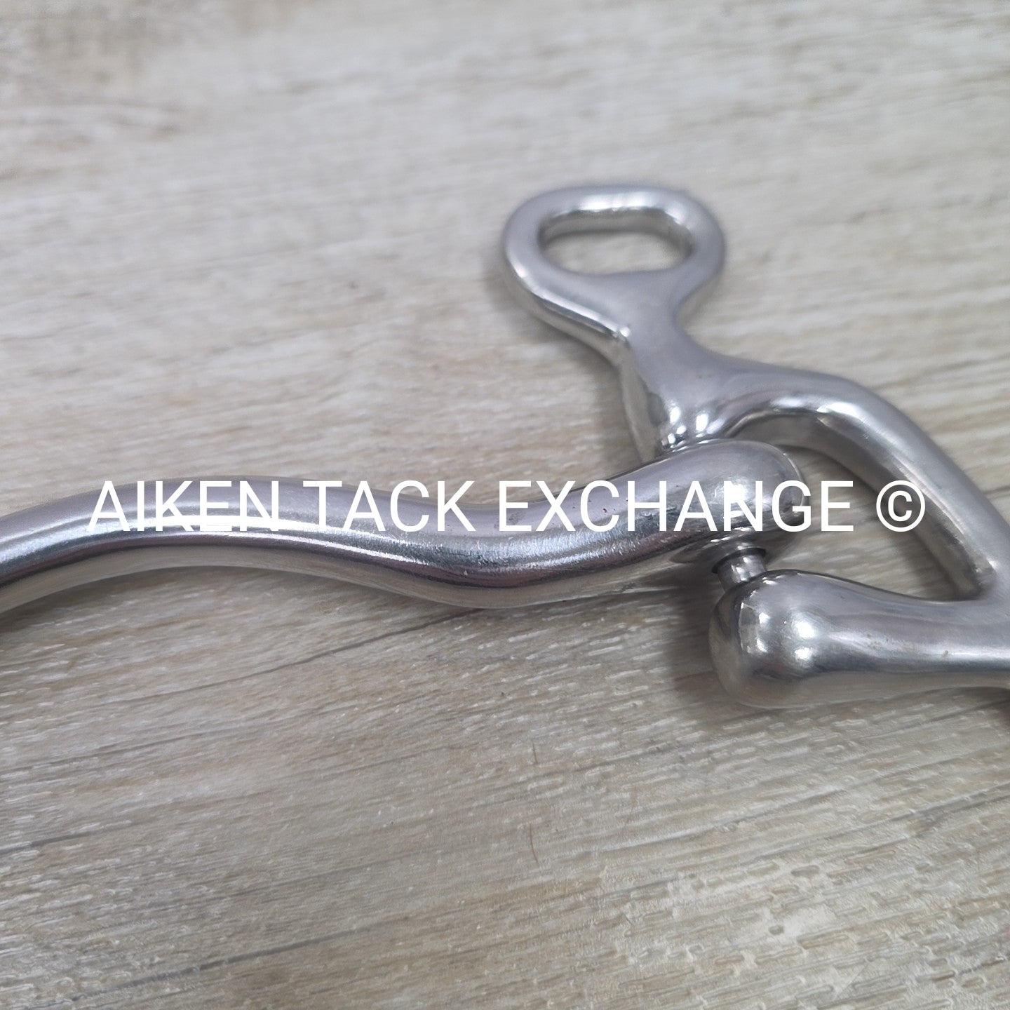 Mullen Mouth Shanked Walking Horse Bit 5"