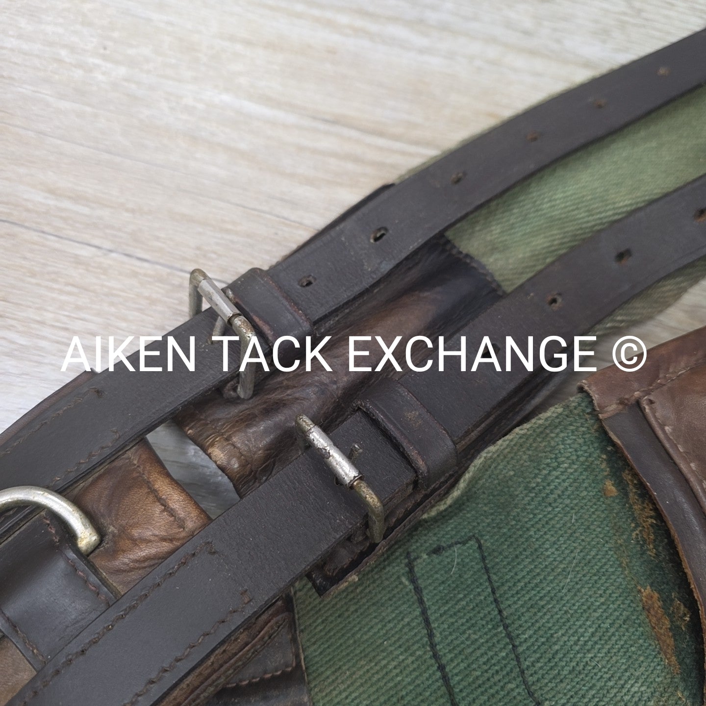 Dover Saddlery Classic Web Training Surcingle