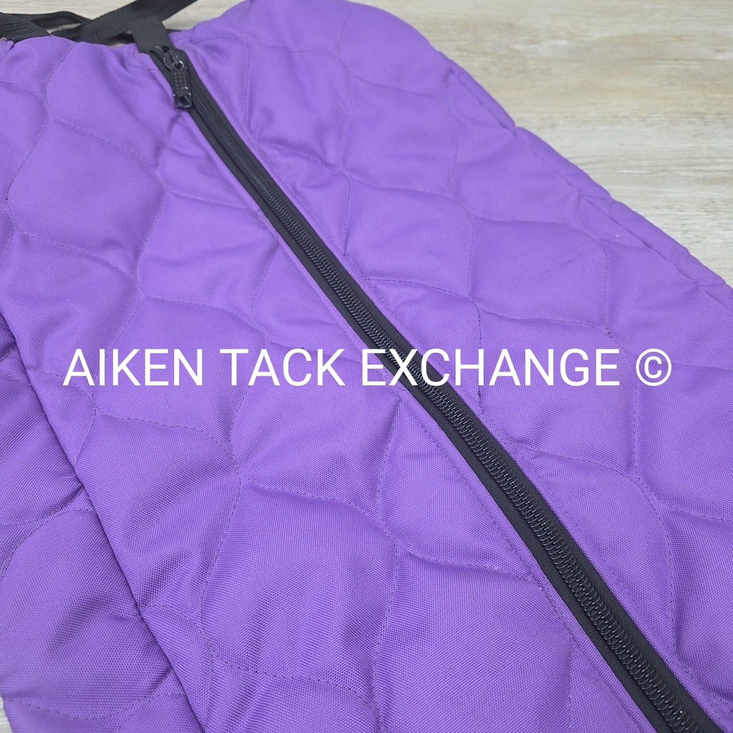 Padded Bridle Bag