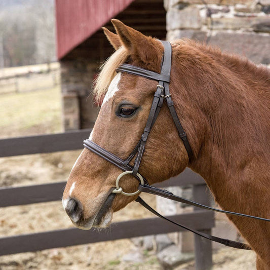 Henri de Rivel Pro Mono Crown Padded Bridle: Havana / Cob