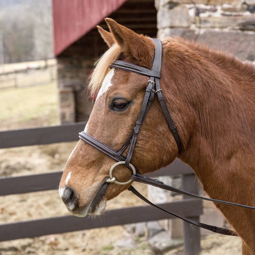 Henri de Rivel Pro Mono Crown Padded Bridle: Black / Cob