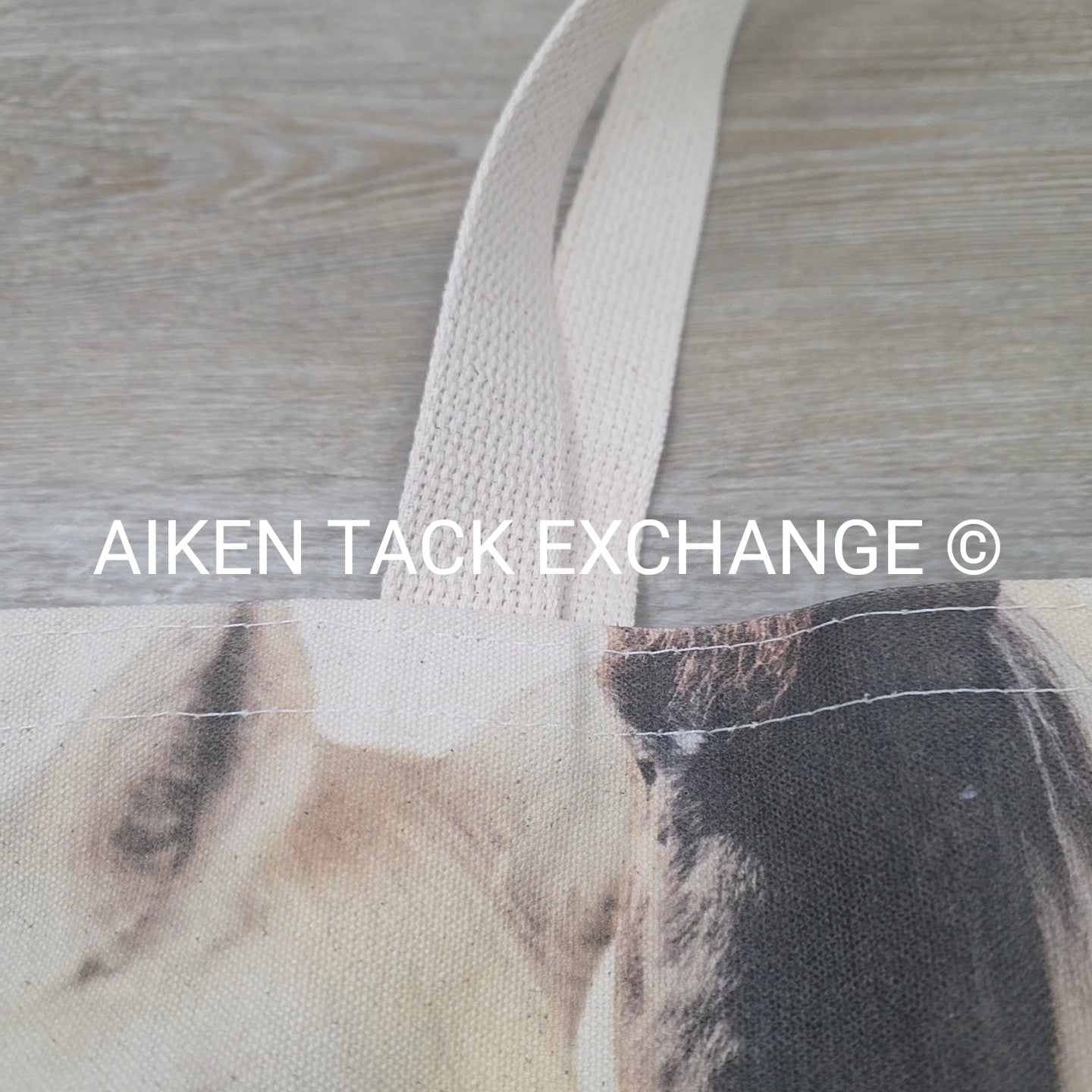 Canvas Tote Bag