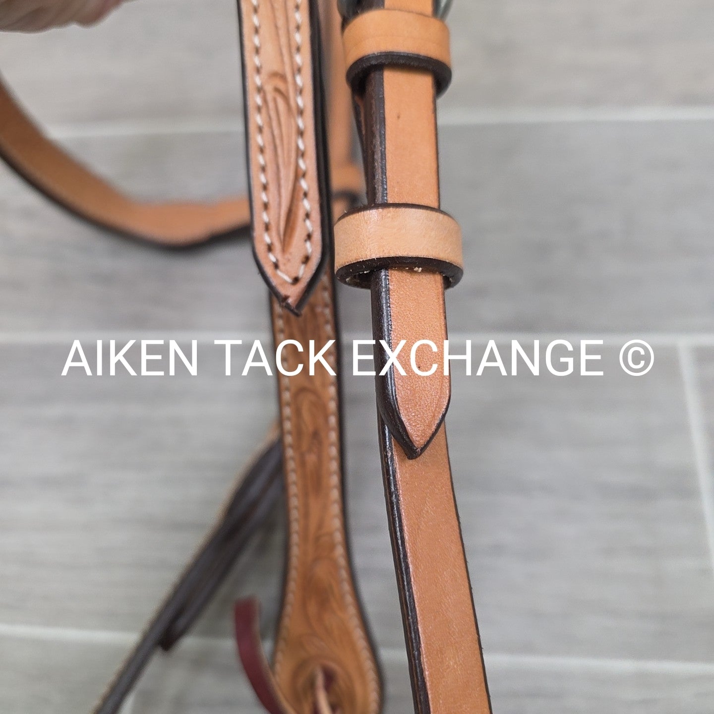 Showman Browband Headstall, No Reins