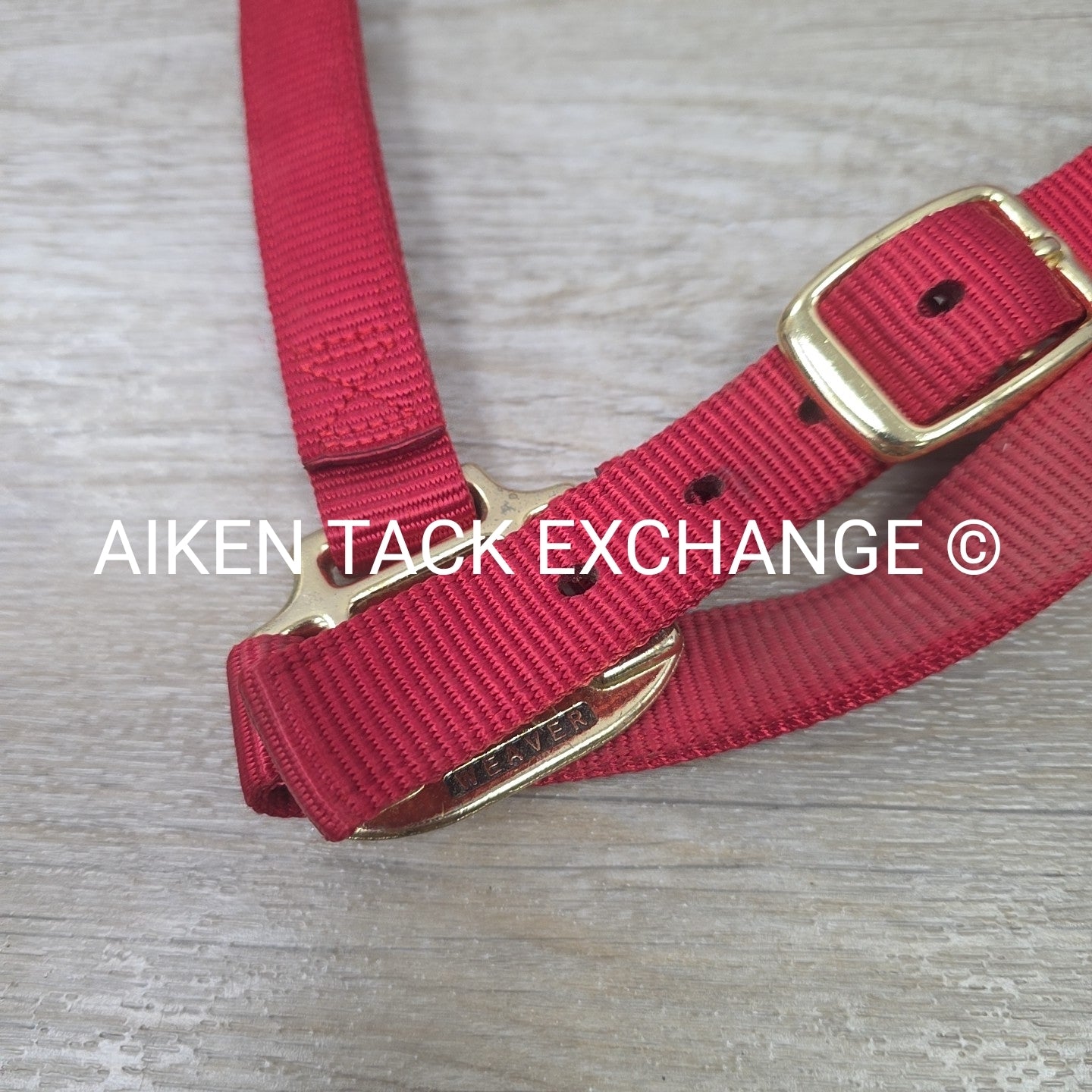 Weaver Nylon Halter, Average Horse