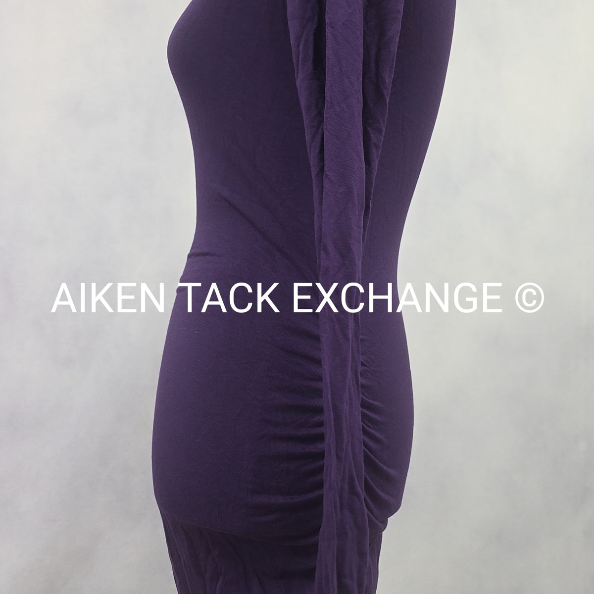 Venus Long Sleeve Dress, Size X-Small