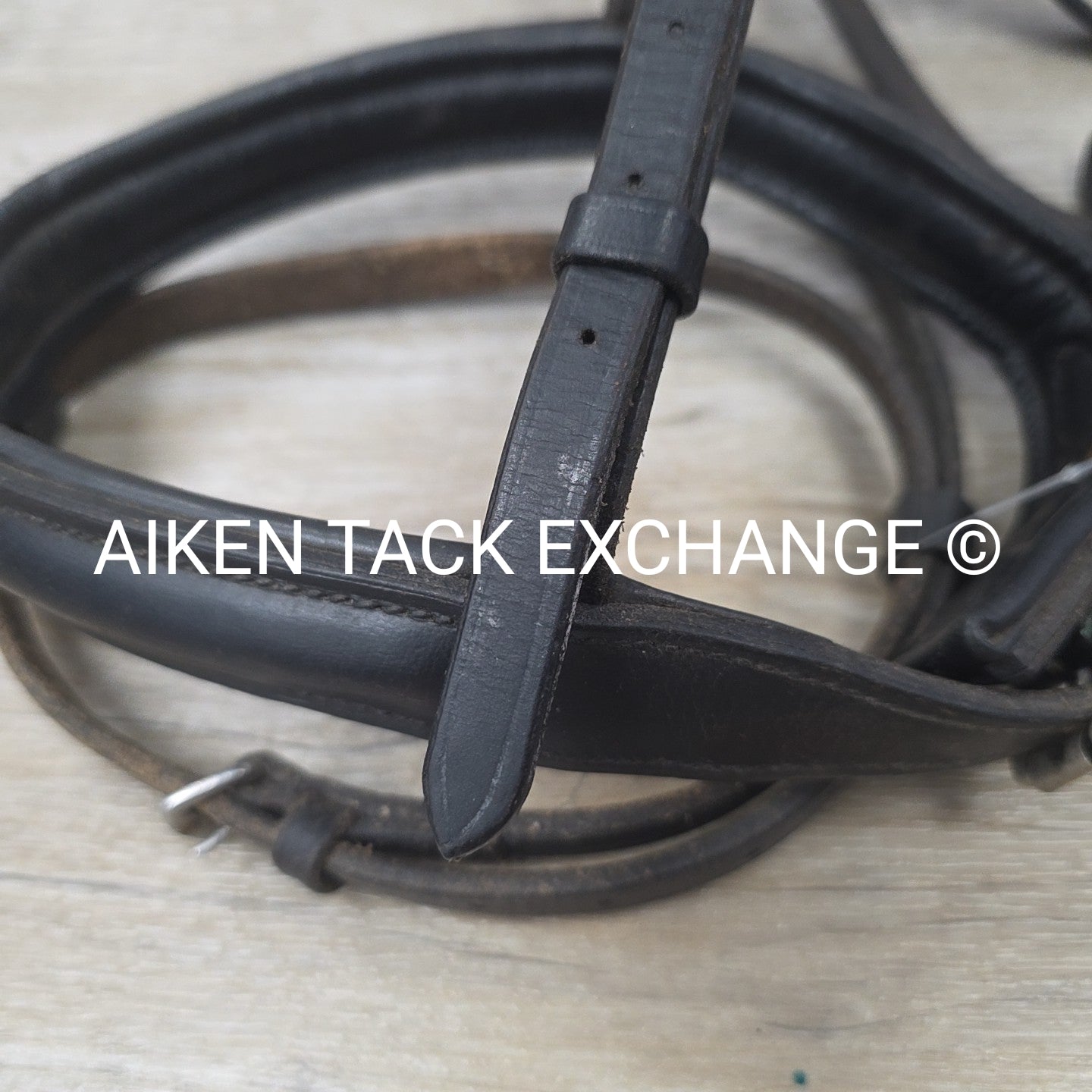 BARGAIN BUNDLE: Flash Bridle with Running Martingale, Black, Size Full