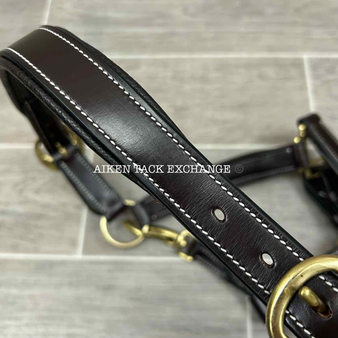 KL Select Black Oak Willow Padded Leather Halter, Brown/Brass, Size Pony