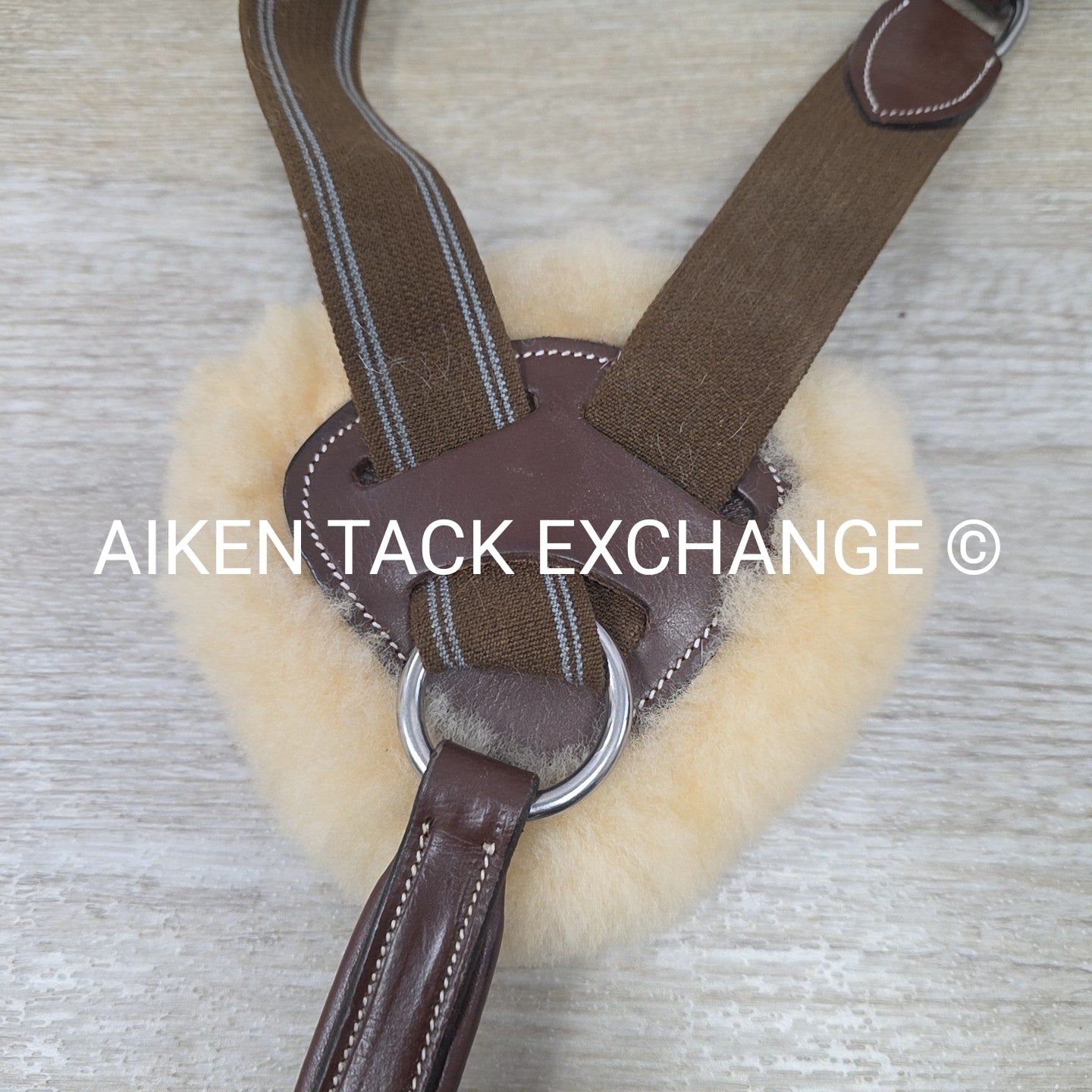 HDR Pro 5 Point Elastic Breastplate, No Running Attachment, Brown, Size Full